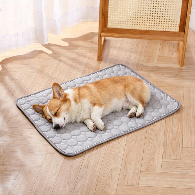 Mata chłodząca dla zwierząt na – Cooling Blanket Hot Sleepers recenzja i cena